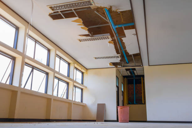 Best Water damage restoration insurance claims  in Westke, LA