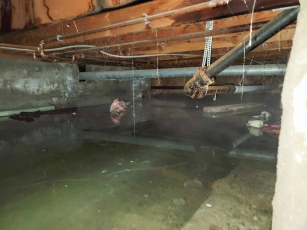  Westke, LA Water damage restoration Pros