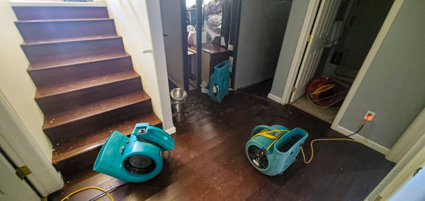 Best Residential water damage restoration  in Westke, LA
