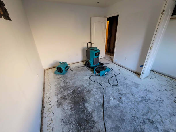Best Water damage restoration near me  in Westke, LA