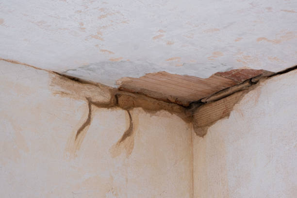 Best Fire Damage Restoration  in Westke, LA