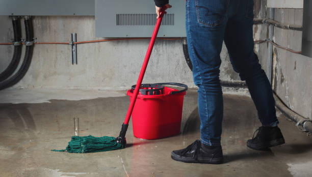 Best Water damage restoration near me  in Westke, LA