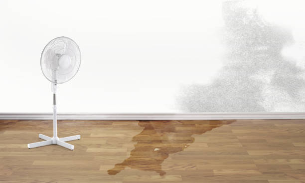 Best Flood damage cleanup  in Westke, LA