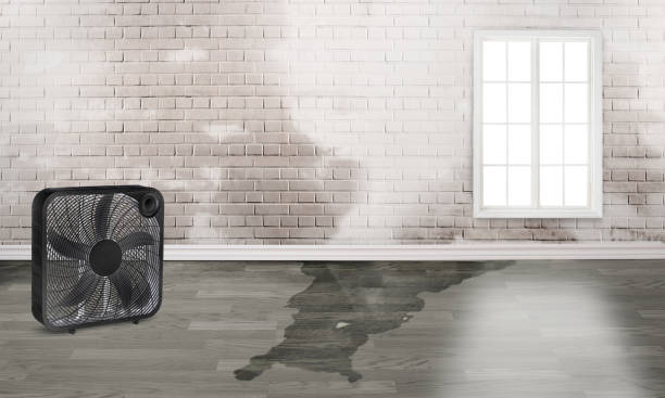 Best Residential water damage restoration  in Westke, LA