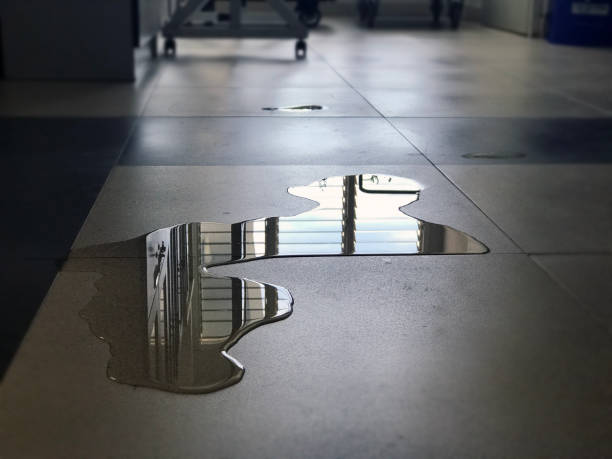 Best Water damage repair service  in Westke, LA