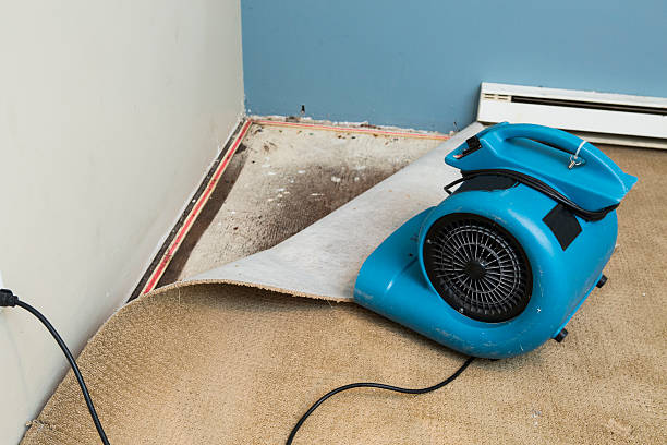 Best Carpet water damage restoration  in Westke, LA